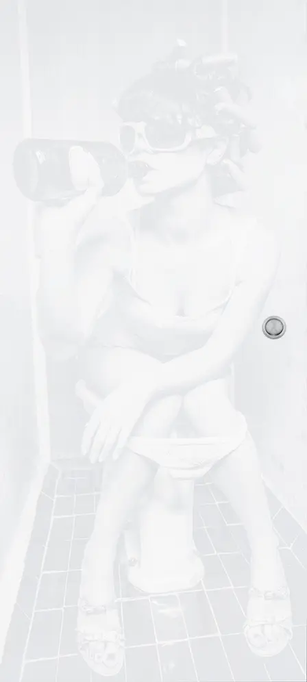 ERKELENZ szklane drzwi przesuwne micro 312 Micromat Laser na pełnej powierzchni matowej