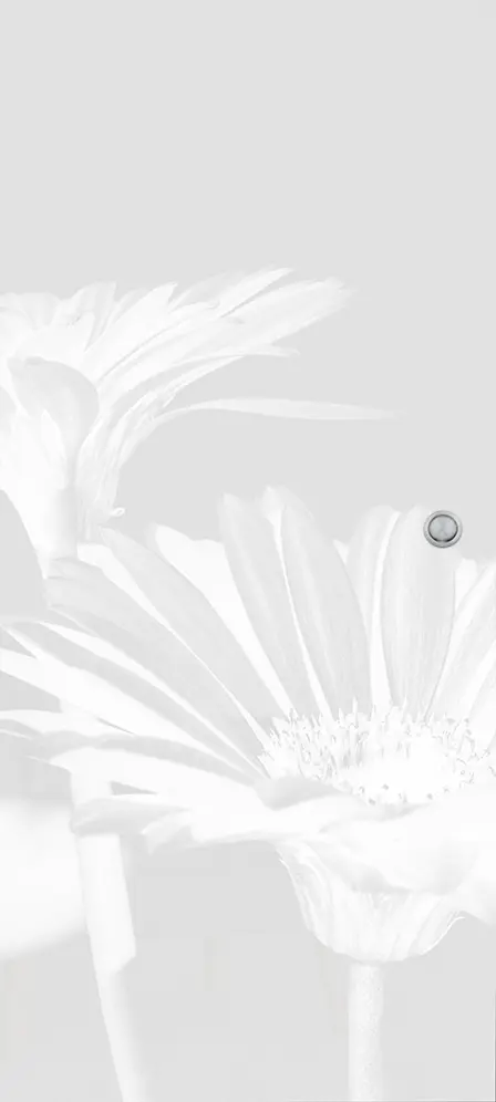 ERKELENZ szklane drzwi przesuwne micro 407 Micromat Laser na pełnej powierzchni matowej