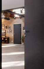 CloseUp-Milieuansicht von Strukturiert Anthrazit Basic Innentür - Huga