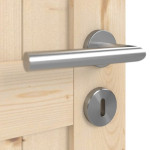 Detalansicht der Oberfläche von Loft V Fichte Massivholz Doppelflügeltür inkl. Zarge - Radex