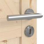 Detalansicht der Oberfläche von Loft ZZ Fichte Massivholz Doppelflügeltür inkl. Zarge - Radex