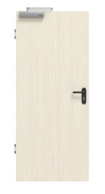 Frontbild von Gebürstete Pinie ProLine Duradecor Brandschutztür - Hörmann