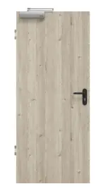 Frontansicht von HÖRMANN Brandschutztür Gebürstete Lärche hell Duradecor ProLine 