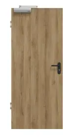 Frontansicht von HÖRMANN Brandschutztür Natureiche Duradecor ProLine 