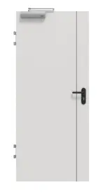 Frontansicht von GARANT Brandschutztür T30 Corona 850 Silver Grey CePaL