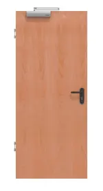 Frontansicht von Buche Classic Echtholzfurnierte Brandschutztür T-30 Typ48 - Jeld-Wen