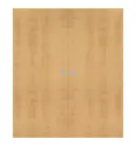 Frontansicht von WESTAG Doppelflügel-Schiebetür Ahorn Rustikal AH 74 PortaLit CPL