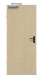 Frontansicht von GARANT Rauchschutztür Natura Ahorn CePaL