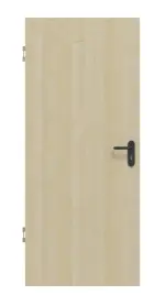 Frontansicht von Schallschutztür Ahorn kanad. Längs Living Echtholzfurniert - Jeld-Wen