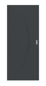 Frontansicht von Signum 49 Basic Lack Anthrazit RAL 7016 Schiebetür - Huga