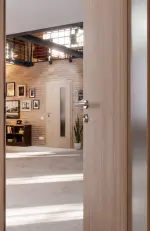 CloseUp-Milieuansicht von Eiche grau LA 24 bandseitig Basic Durat Innentür - Huga