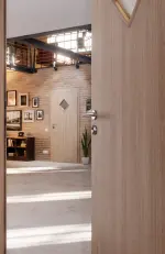 CloseUp-Milieuansicht von Eiche grau LA 6 Raute Basic Durat Innentür - Huga