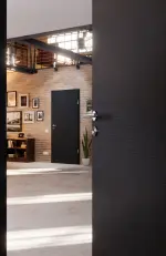 CloseUp-Milieuansicht von Cotton like Anthrazit Basic Innentür - Huga