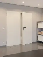 CloseUp-Milieuansicht vom Flur von TECKENTRUP Komplettset 2-flg. Stahl Mehrzwecktür dw 42-2 inkl. Eckzarge