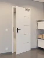 CloseUp-Milieuansicht von GARANT Rauchschutztür Corona 834 Silver Grey CePaL