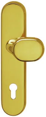 Sicura Arena-LS/LS Robusta Gold-pol. Schutzbeschlag mit Griffplatte - Südmetall