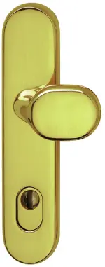 Sicura Arena-LS/LS Robusta Gold-pol. Schutzbeschlag mit Zylinderabdeckung - Südmetall