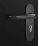 Detailansicht der Oberfläche von Brandschutztür T-30 Schwarz RAL 9005 Lack - Hörmann