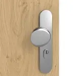 Detailansicht der Oberfläche von GARANT Wohnungseingangstür Authentic Asteiche CePaL