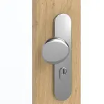 Detailansicht der Oberfläche von GARANT Wohnungseingangstür Authentic Asteiche GCK08 mit Lichtausschnitt LA-2