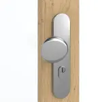 Detailansicht der Oberfläche von GARANT Wohnungseingangstür Authentic Asteiche CePaL mit Lichtausschnitt LA-3