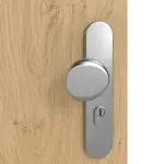 Detailansicht der Oberfläche von GARANT Wohnungseingangstür Authentic Asteiche CePaL mit Lichtausschnitt LA-4 bandseitig