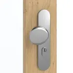 Detailansicht der Oberfläche von GARANT Wohnungseingangstür Authentic Asteiche GCK08 mit Lichtausschnitt LA-4 schlossseitig