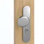 Detailansicht der Oberfläche von GARANT Wohnungseingangstür Authentic Asteiche GCK08 mit Lichtausschnitt LA-5 schlossseitig