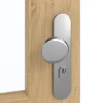 Detailansicht der Oberfläche von GARANT Wohnungseingangstür Authentic Asteiche GCK08 mit Lichtausschnitt LA-6