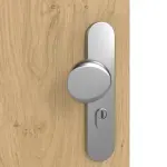 Detailansicht der Oberfläche von GARANT Wohnungseingangstür Authentic Asteiche CePaL mit Lichtausschnitt LA-9