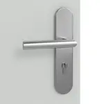 Detailansicht der Oberfläche von Signum 31 Basic Lack Grau RAL 7035 Wohnungseingangstür - Huga