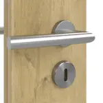 Detailansicht der Oberfläche von Doppelflügeltür Basic 4.16 Dekor Riviera Eiche inkl. Zarge - Interio