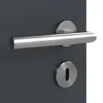 Detailansicht der Oberfläche von Doppelflügeltür LA 24 Ultramatt Anthrazit ProLine inkl. Zarge - Hörmann