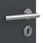 Detailansicht der Oberfläche von Doppelflügeltür Ultramatt Anthrazit ProLine inkl. Zarge - Hörmann