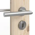 Detailansicht der Oberfläche von Typ 6002-04-SP6 Kiefer Massivholz Doppelflügeltür inkl. Zarge - Radex