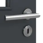 Detailansicht der Oberfläche von Anthrazit RAL 7016 LA 12 Basic Lack Innentür - Huga