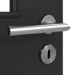 Detailansicht der Oberfläche von Anthrazit RAL 7016 LA 12 Mattlack Basic Innentür - Huga