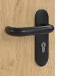 Detailansicht der Oberfläche von GARANT Rauchschutztür Authentic Asteiche GCK08