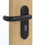 Detailansicht der Oberfläche von GARANT Rauchschutztür Authentic Asteiche CePaL mit Lichtausschnitt LA-2