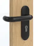 Detailansicht der Oberfläche von GARANT Rauchschutztür Authentic Asteiche CePaL mit Lichtausschnitt LA-5 schlossseitig