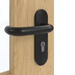 Detailansicht der Oberfläche von GARANT Rauchschutztür Authentic Asteiche CePaL mit Lichtausschnitt LA-6