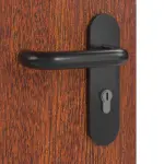 Detailansicht der Oberfläche von Mahagoni Classic Echtholzfurniert Schallschutztür - Jeld-Wen