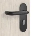 Detailbild der Oberfläche von Gebürstete Salzeiche ProLine Duradecor Rauchschutztür - Hörmann