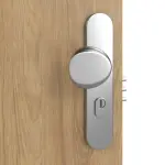 Detailansicht der Oberfläche von CLASSEN Brandschutztür-Set EI30 M1 Hickory Eiche CPL inkl. Blockzarge