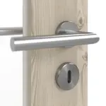 Detailansicht der Oberfläche von HÖRMANN Doppelflügeltür Rail 1 Gebürstete Lärche hell Duradecor DesignLine mit Zarge