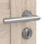 Detailansicht der Oberfläche von CLASSEN Doppelflügeltür Tosca M1 Eiche Sonoma 3D Look inkl. Zarge 