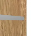 Detailansicht der horizontalen Lisene von CLASSEN Brandschutztür-Set EI30 Venom Alu M1 Grandson Eiche Iridium inkl. Blockzarge