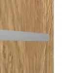 Detailansicht der horizontalen Lisene von CLASSEN Brandschutztür-Set EI60 Venom Alu M1 Grandson Eiche Iridium inkl. Blockzarge