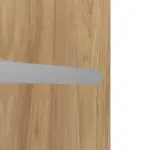 Detailansicht der horizontalen Lisene von CLASSEN Brandschutztür-Set EI30 Venom Alu M1 Hickory Eiche CPL inkl. Blockzarge