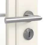 Detailbild Oberfläche RAL 9010 von Doppelflügeltür Landhaus 21 LA 01